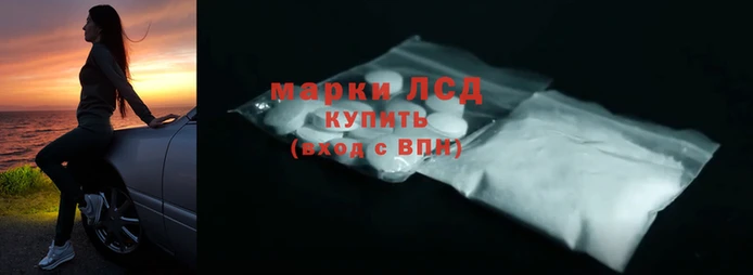стаф Беломорск