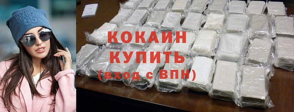 дживик Белокуриха
