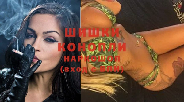 шишки Семикаракорск